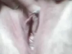Diễn ngựa phim dit n ...