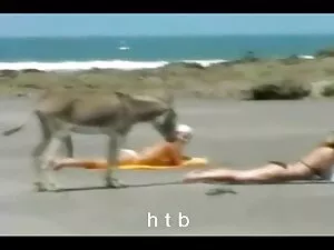 Kim phim sex nhật ba ...