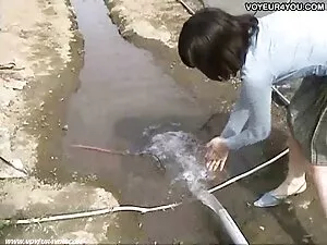 Liên loài người đẹp  ...